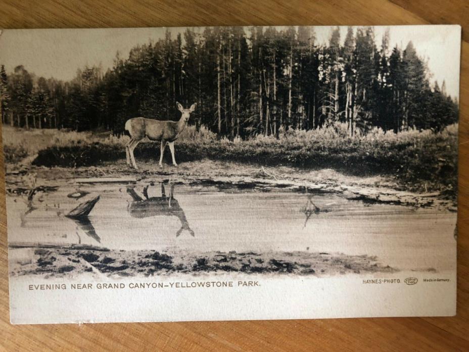 Vintage Postcard Yellowstone National Park