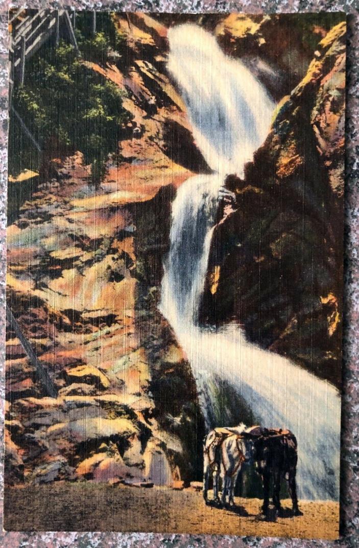 Lower Three Seven Falls-South Cheyenne Canyon-Colorado Springs-Vintage Postcard