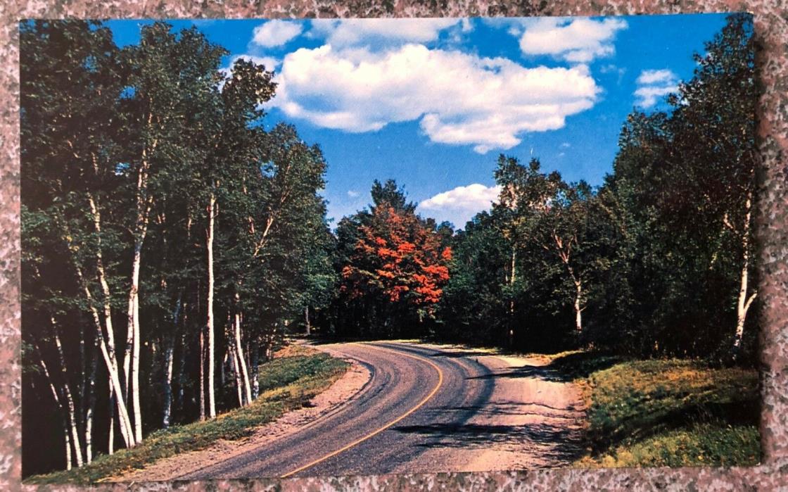 Ouachita National Forest - Mt. Ida, Arkansas - Vintage Postcard