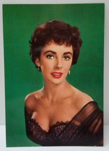 Liz Taylor Postcard Elizabeth Taylor Photo Post Card