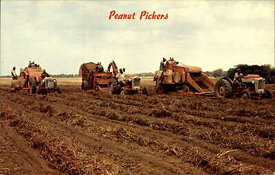 Peanut pickers vines tractors in the South ~ 1970s