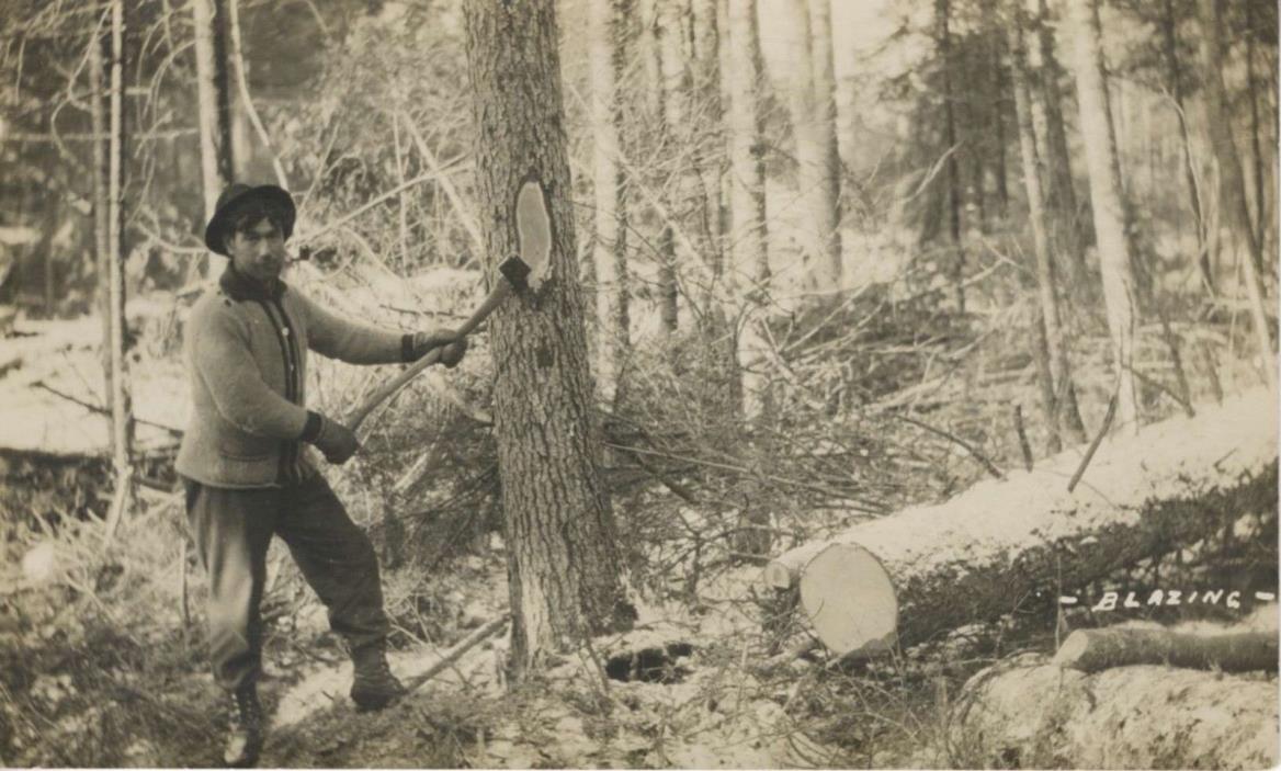 Lumberjack Blazing Pacific Northwest Logging Unused Real Photo Postcard E10
