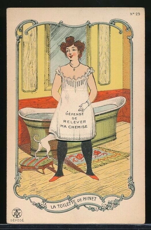 1920s Original French Risque Naughty Lift-Up Skirt Postcard DOG & CAT