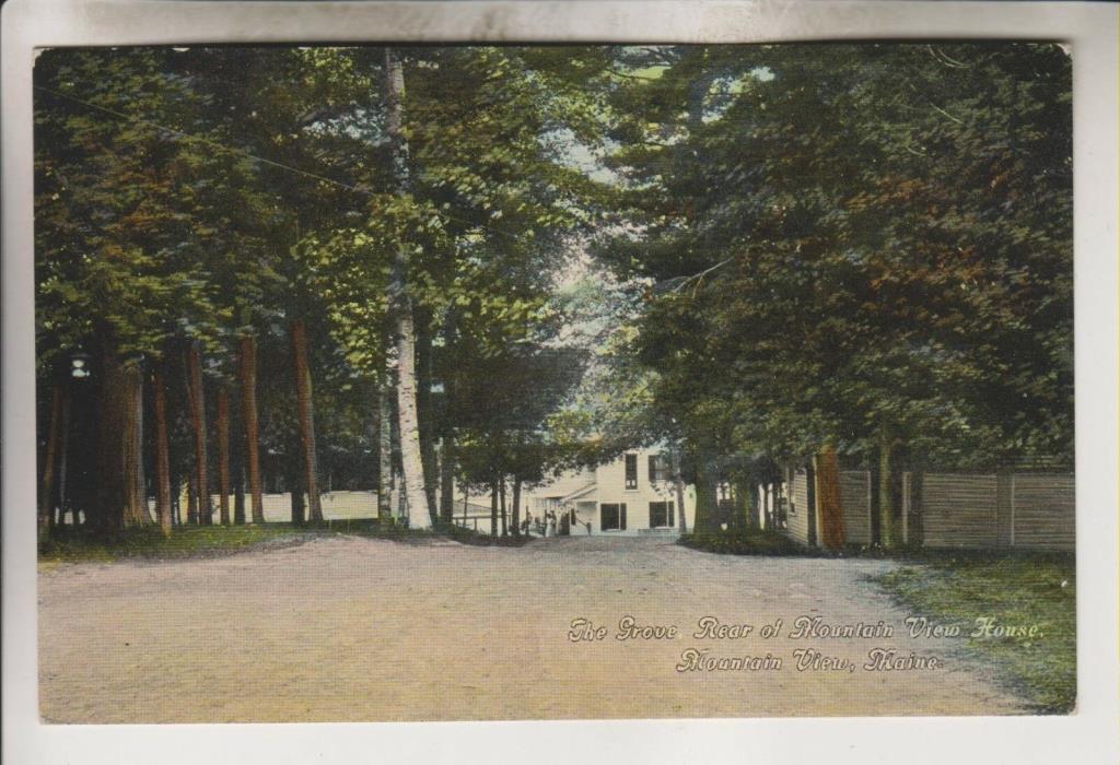 1910 POSTCARD - THE GROVE REAR OF MOUNTAIN VIEW HOUSE - MOUNTAIN VIEW MAINE