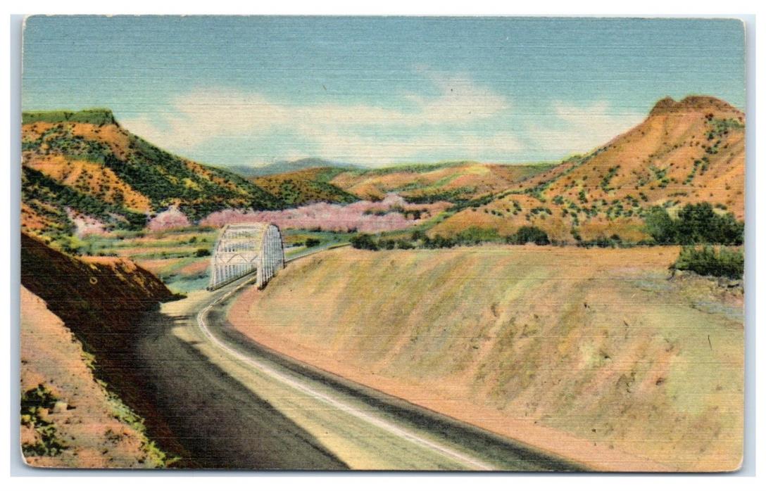 Mid-1900s Rio Grande River Bridge, Santa Fe-Los Alamos Highway, NM Postcard