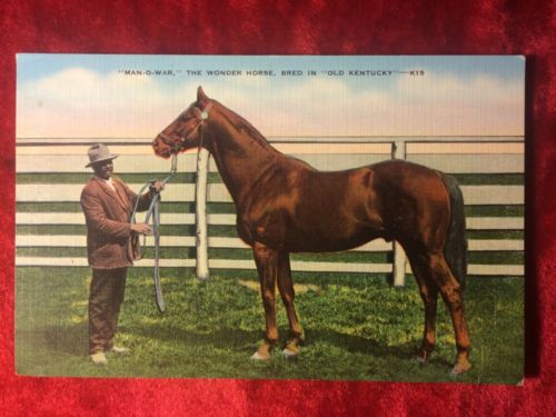 1936 Post Card, Man-o-War, 'Bred in Old Kentucky, Unused Kentucky Derby Winner