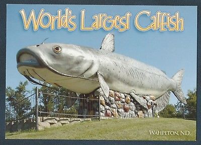 WORLDS LARGEST CATFISH WAHPETON NORTH DAKOTA MODERN POSTCARD