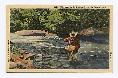 Fisherman in the Rockies Trying the Elusive Trout Color Linen Postcard