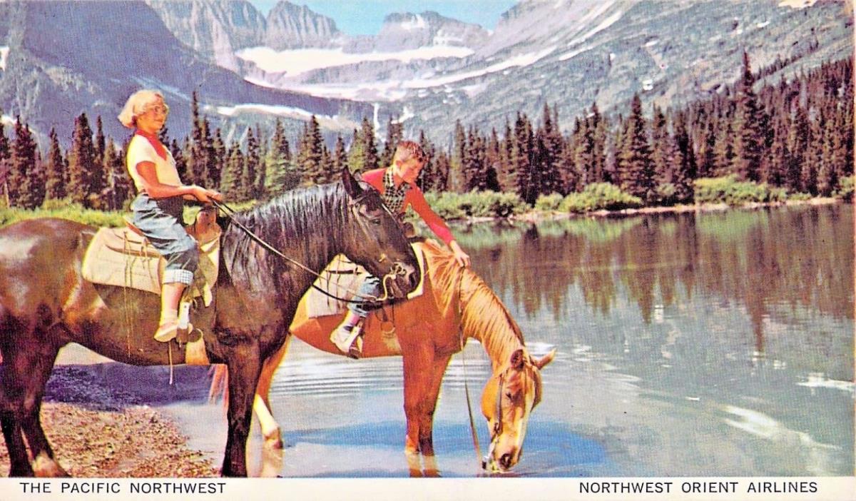 Northwest orient Airlines -- The Pacific Northwest -  Horses Stop For A Drink