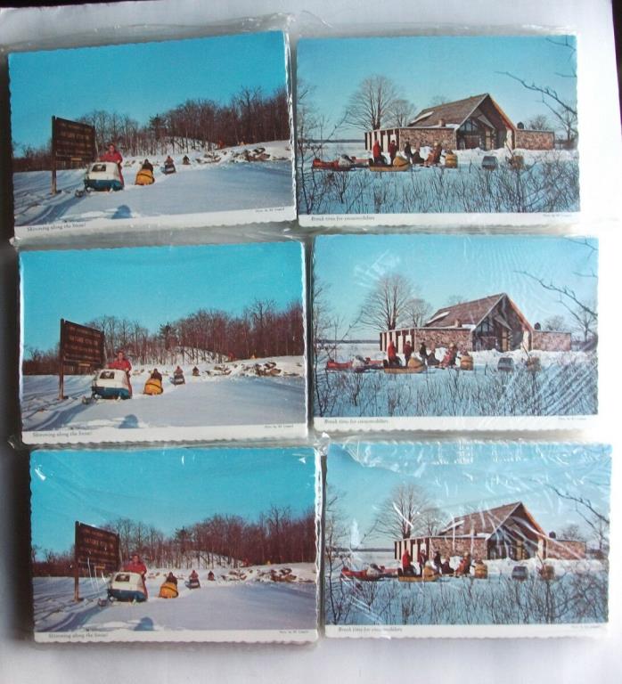 300 NEW OLD STOCK POSTCARDS WELLESLEY ISLAND NEW YORK - SNOWMOBILING
