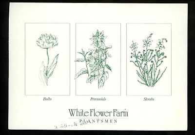 Flowers Postcard Connecticut CT Litchfield Advertising White Flower Farm