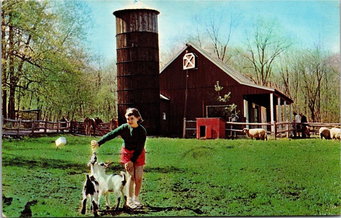 Girl Feeding Baby Goats Kids Heckscher Farm Museum Stamford CT Vtg Postcard H11