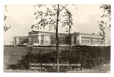 4444* ILL  CHICAGO MUSEUM of NATURAL HISTORY RPPC Postcard