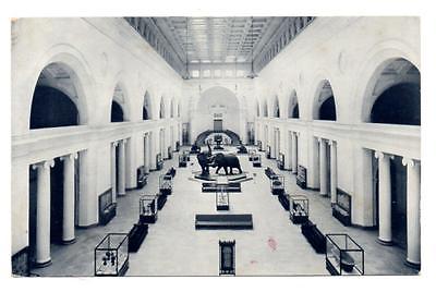 4443* ILL Chicago FIELD MUSEUM of Natural History ~ STANLEY FIELD HALL Postcard