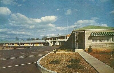 Horse Cave, KY / Horse Cave Motel / Kentucky / Hand Dated 1954 / Lot R434