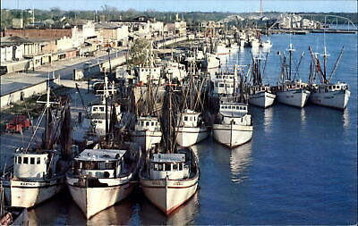 Shrimp and fishing boats at Morgan City Louisiana ~ 1960s