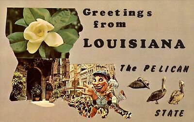 Greetings from Louisiana ~ The Pelican State ~ Magnolia~Mardi Gras float
