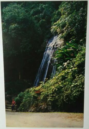 Vintage PUERTO RICO Postcard Coca Falls El Yunque Highest Mountain Peak