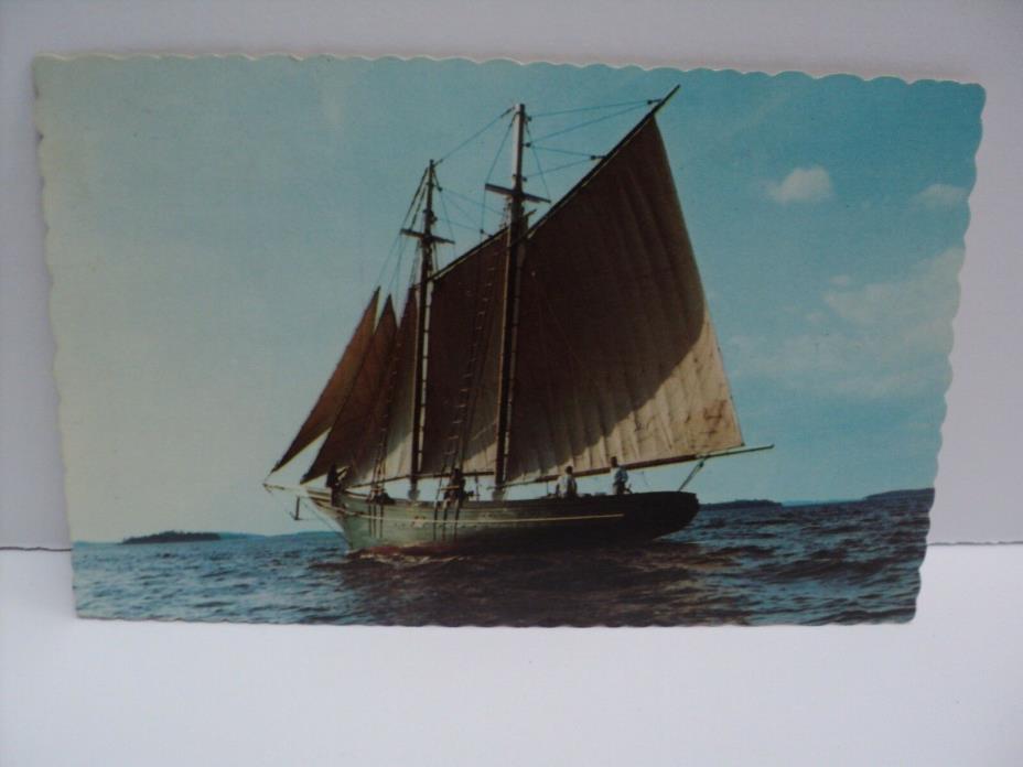 Vintage Post Card 1969 Maine's Last Clipper-Bowed Fishing Schooner Restored 1968