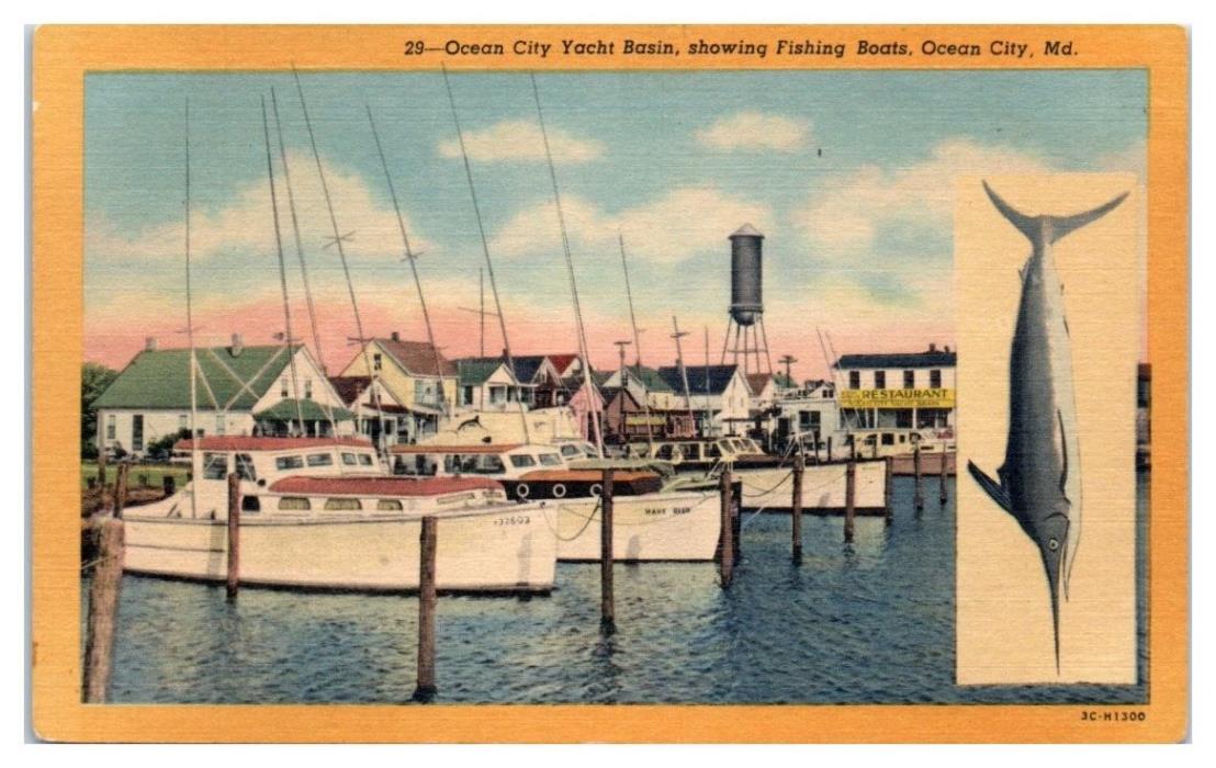 Mid-1900s Ocean City Yacht Basin, showing Fishing Boats, Ocean City, MD Postcard