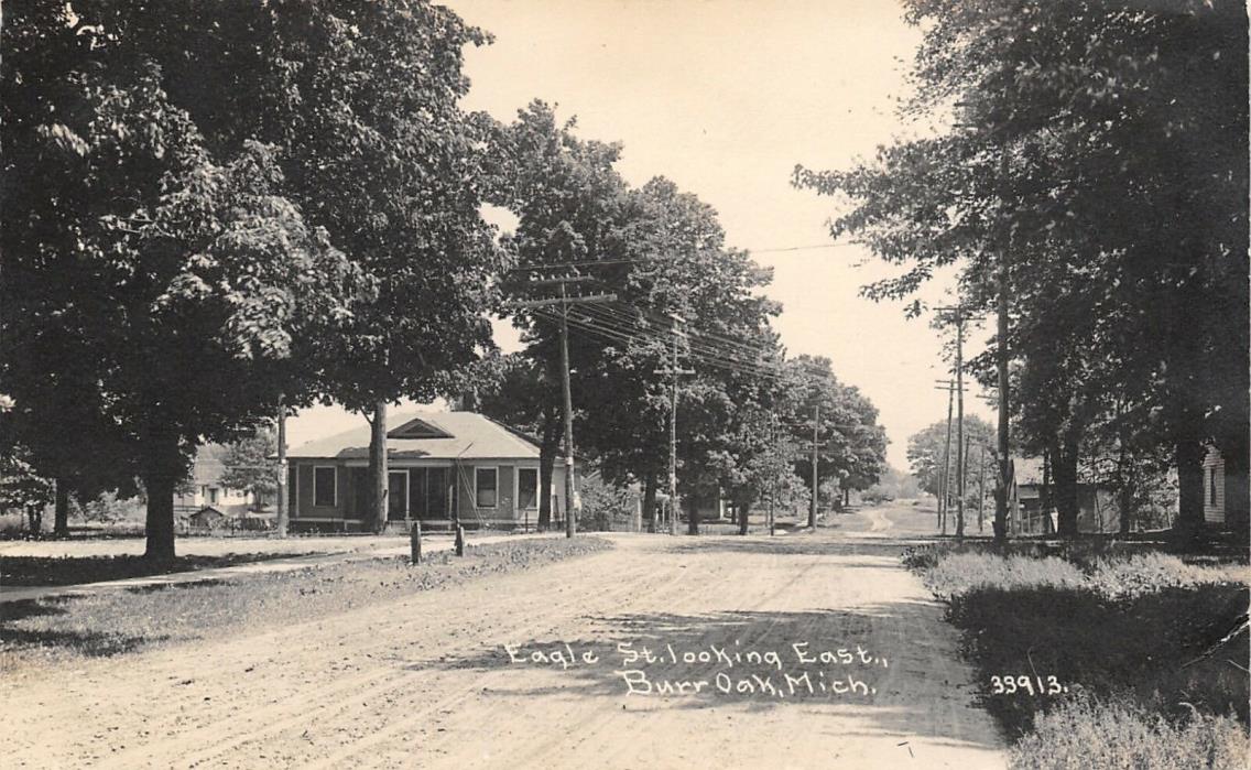 Burr Oak Michigan~Eagle Street Homes~Intersection~Dirt Road~1912 CR Childs RPPC