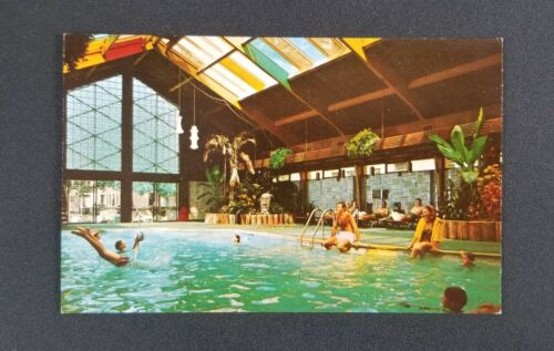 Tropical Curtis Hotel Pool & Motor Lodge Minneapolis MN Unposted Curteichcolor