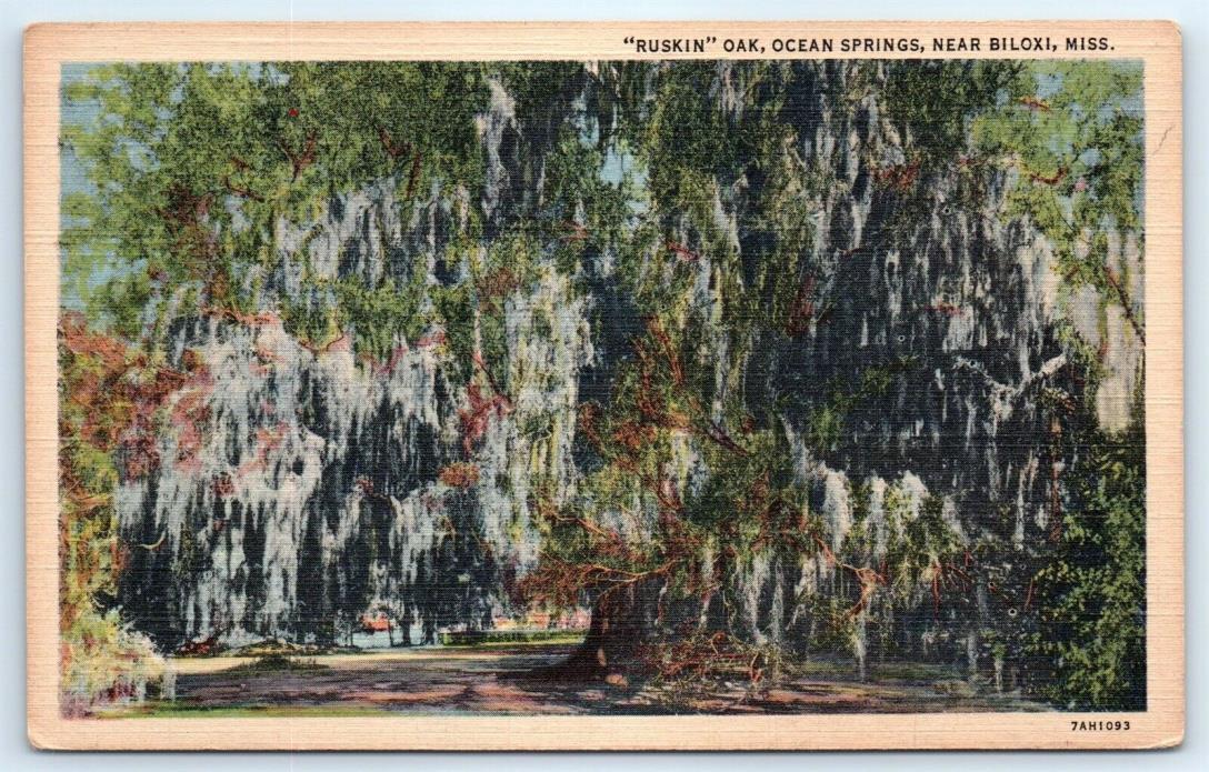 Postcard MS 1942 Ruskin Oak Ocean Springs Linen View Vtg D8