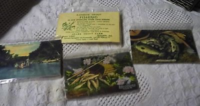 4 Vintage Trout Fishing Postcards From Ark. & MO.