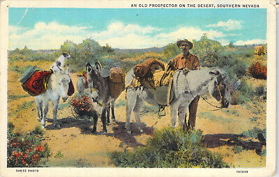 An Old Prospector On The Desert Southern Nevada Oakes Photo Unposted Postcard