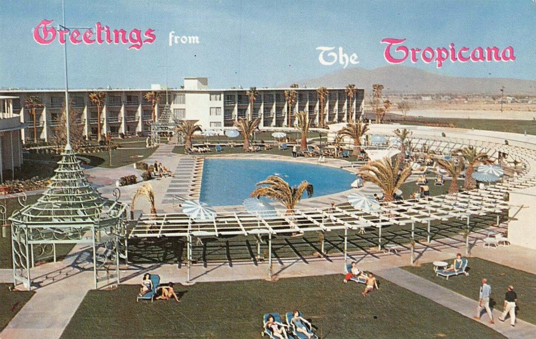 Greeting From The Tropicana Pool Scene Las Vegas,NV Vtg 1950's Chrome Postcard