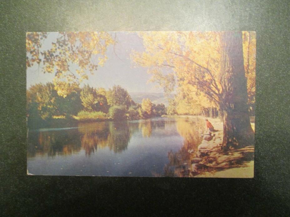Truckee river in autumn near Reno Nevada NV Postcard
