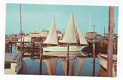 Cape May NJ Marina Sailboat Vintage 1954 Postcard Boat