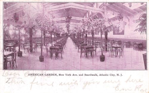 Atlantic City New Jersey~American Garden~New York Avenue @ Boardwalk~1905 PC
