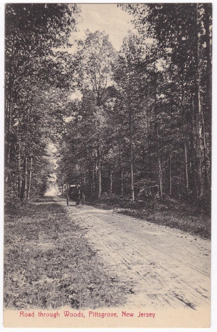 Postcard Road Through the Woods Pittsgrove NJ Horse and Buggy B3