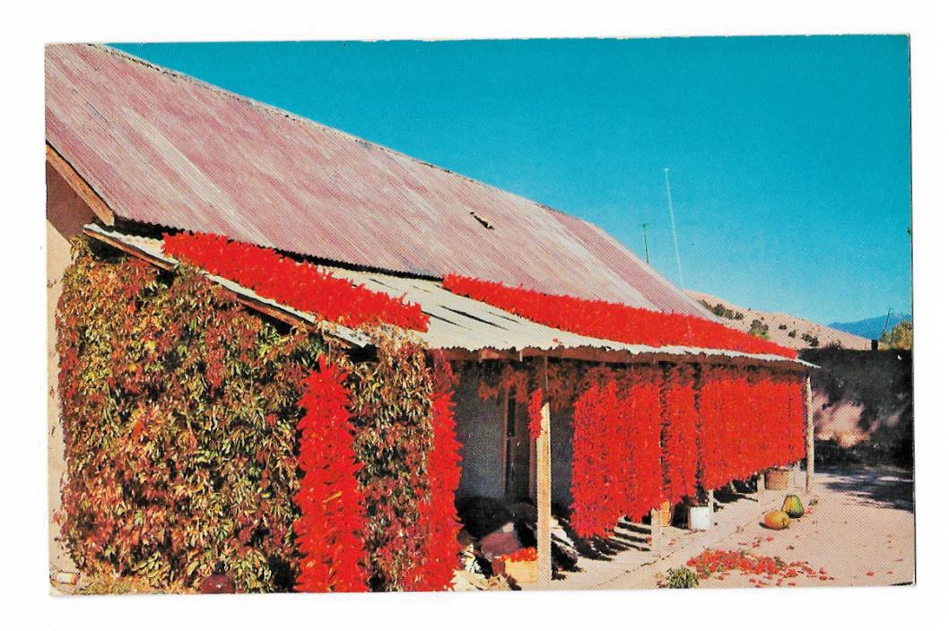 Postcard 1960-70s Ristras of Chiles Hanging in the Sun Rio Grande Valley NM