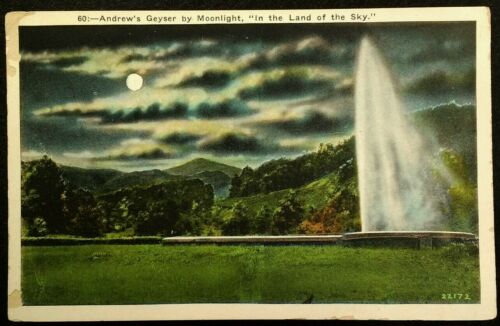 Ashville NC Postcard Early 1900s Andrew's Geyser Land of Sky Black Mtn Old Fort