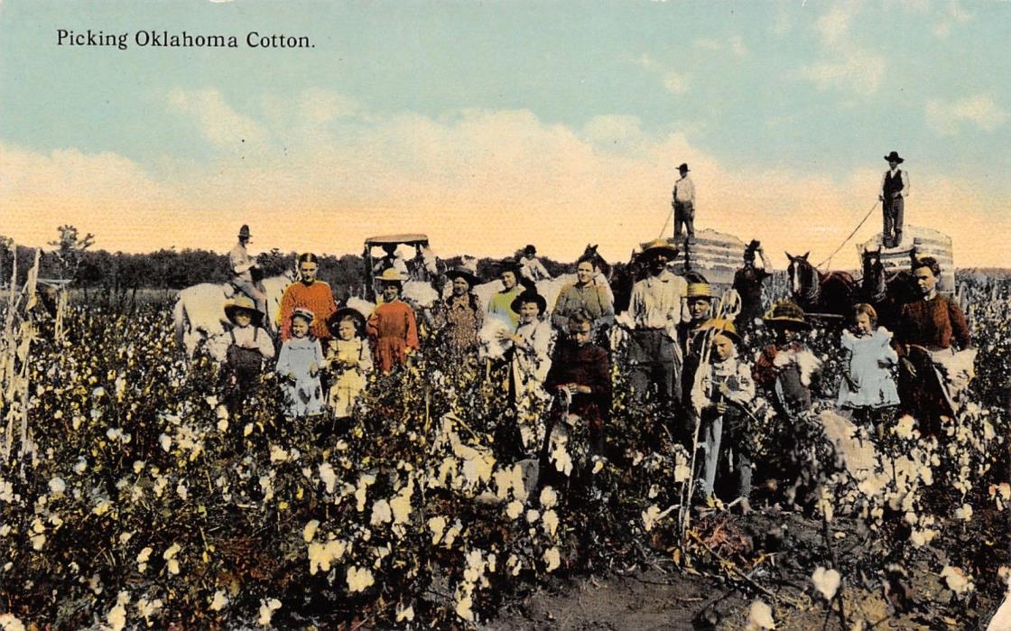 Oklahoma Cotton Pickers~Whole Farm Families~Moms Dads Kids~Bale Wagons~1910 PC