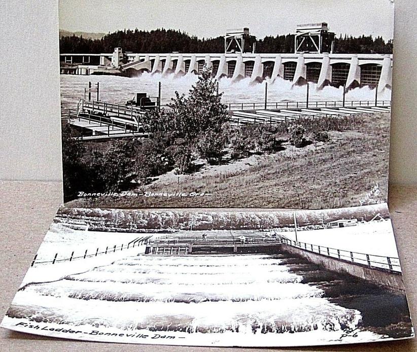 2 Vntg RPPC  Photo postcards Bonneville Dam, w Fish Ladder, OR, by Smith
