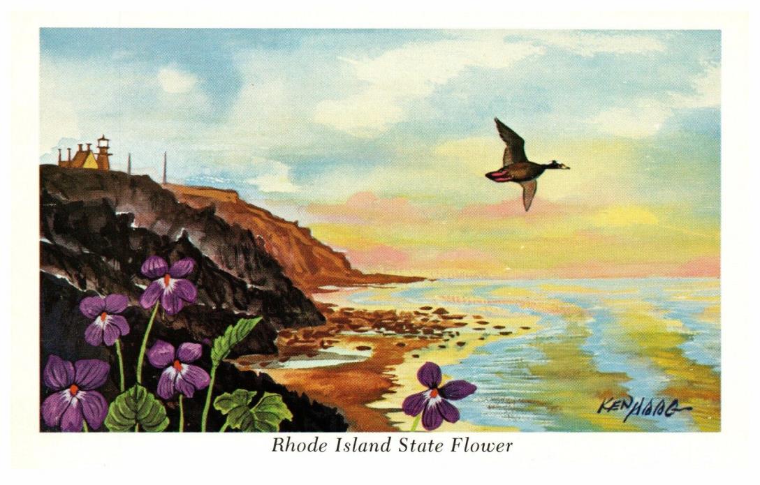 Vintage Postcard by artist Ken Haag Rhode Island State Flower Violet 1973