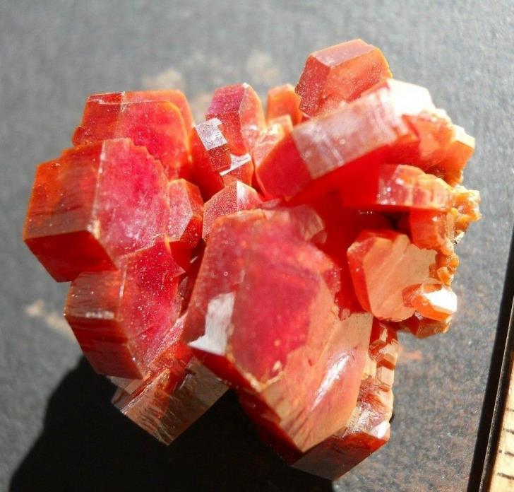 Superb Vanadinite Crystal Cluster. mineature sized - Mibladen, Morocco
