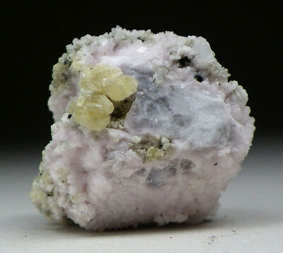 HACKMANITE Crystal Coated with ALBITE - Mont Saint-Hilaire