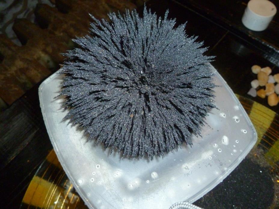 Magnetic NATURAL Black Sand DIY (Magnetite) High Quality 4.0 lb pounds