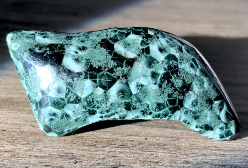 Amazing Huge Isle Royale Greenstone Chlorastrolite 47 karat wow!!