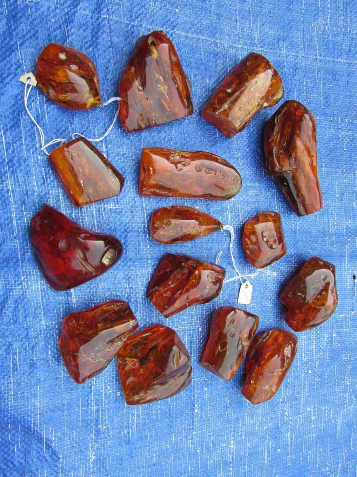 957.6 Grams of Baltic Amber One With Spider