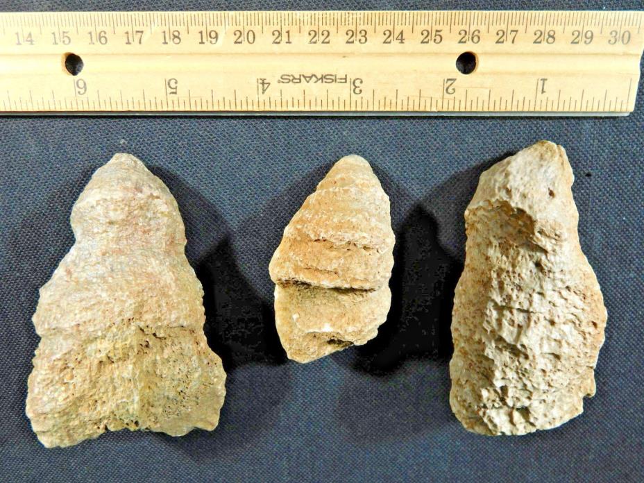 A Lot of THREE! Agatized 400 Million Year Old HORN Coral Fossils! Morocco 454gr
