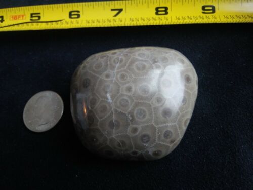 Petoskey Stone. 5.21 OZ. Ultra Polish.