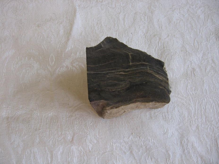 Petrified Wood Cut Two Sides 2