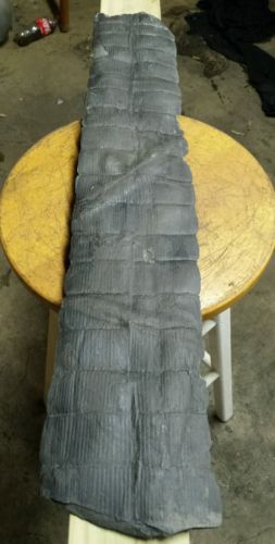 XL Calamite Fossil 26 inches long 