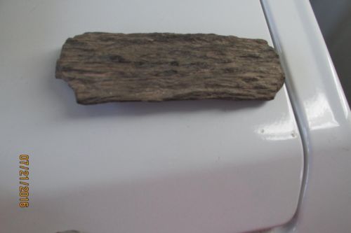 Vintage Missouri Petrified Wood truned To stone very heavy