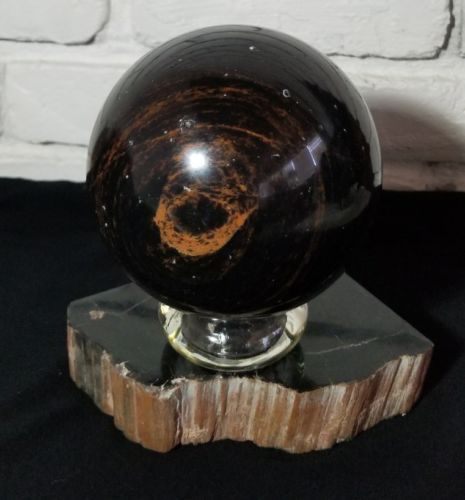 Petrified Wood Sphere Ball 5.5
